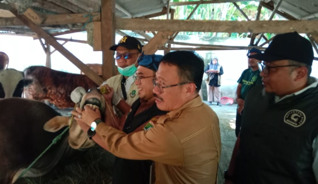 Cegah Penyakit, Dinas Pertanian Banten Kawal Berlapis Pemeriksaan Hewan Kurban