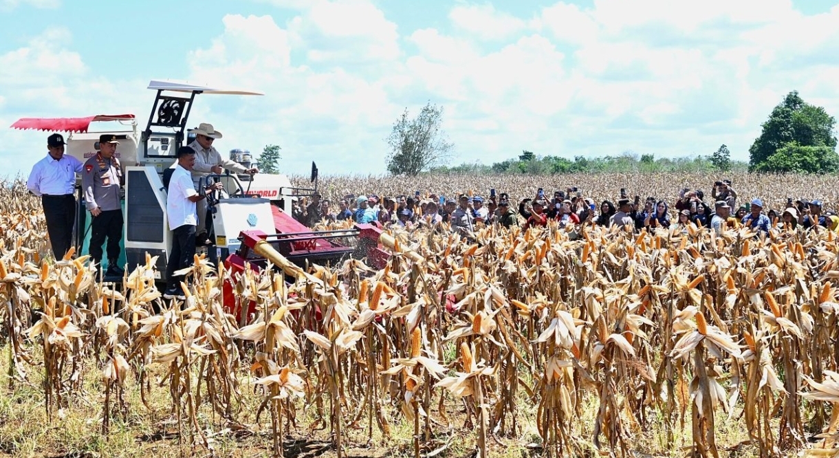 Indonesia Siap Jadi Lumbung Pangan Dunia