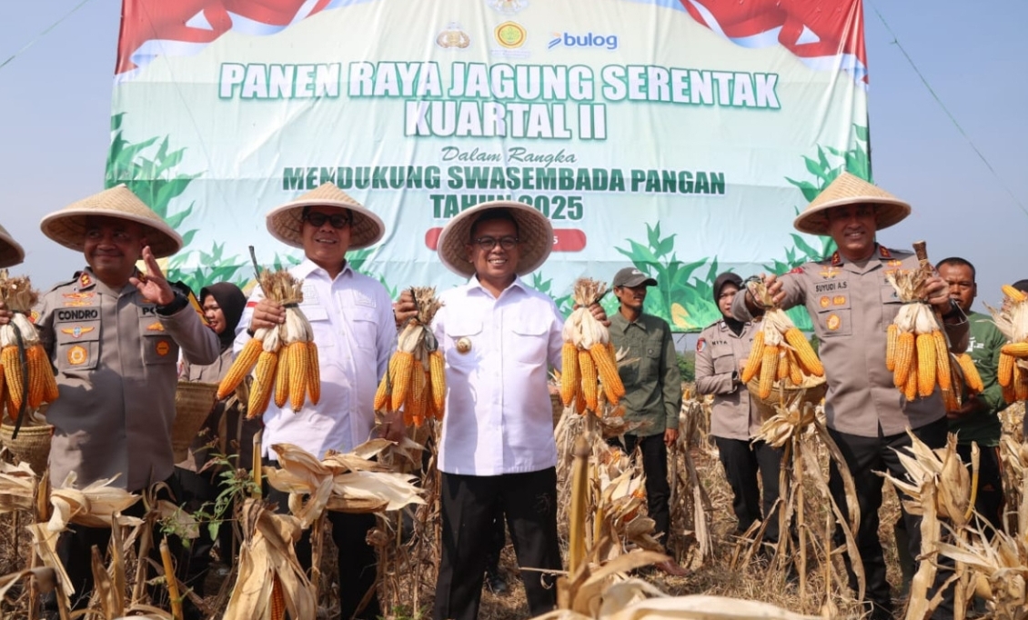 Gubernur Banten Bakal Tanam Jagung Dikanan Kiri Jalan Tol