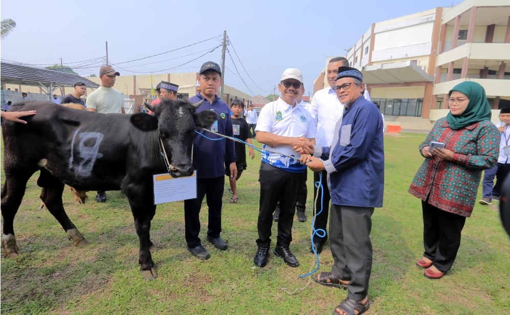 RS Sitanala Tangerang Bagikan 13 Ekor Sapi Kepada Lingkungan