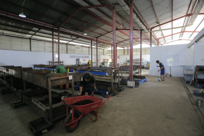 Pemkot Tangerang Konsisten Budi Daya Maggot, Sukses Kurangi Sampah Organik Sampai 15 Ton per Hari