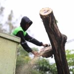 Cek Kondisi Pohon & Klaim Asuransi Anti Ribet, Kenali Si GAMPANG Inovasi Pemkot Tangerang