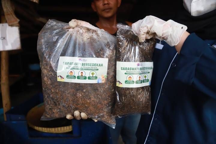 Inovasi Budi Daya Maggot Pasar Saraswati Ciledug Sukses Kurangi Tiga Ton Sampah Setiap Hari