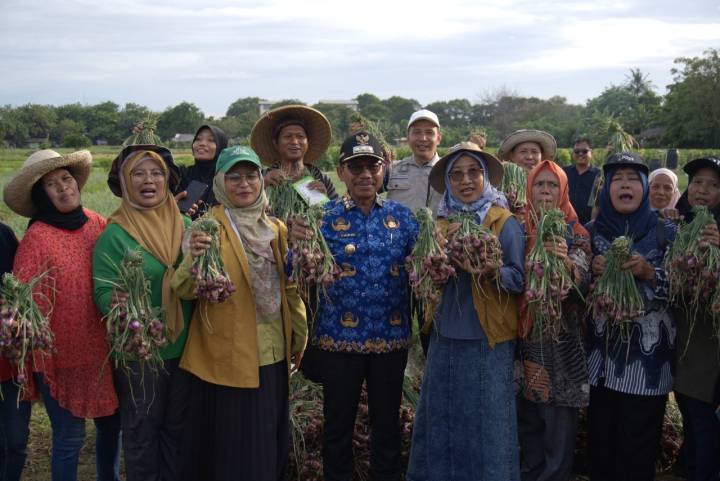 Panen Bawang dan Melon, Sachrudin: Petani Sejahtera, Ketahanan Pangan Kota Terjaga
