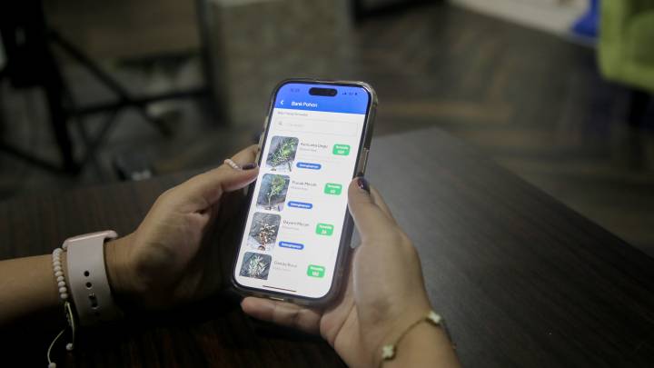 Hari Pohon Sedunia, Ayo Manfaatkan Layanan Permintaan Bibit Pohon Gratis di Kota Tangerang