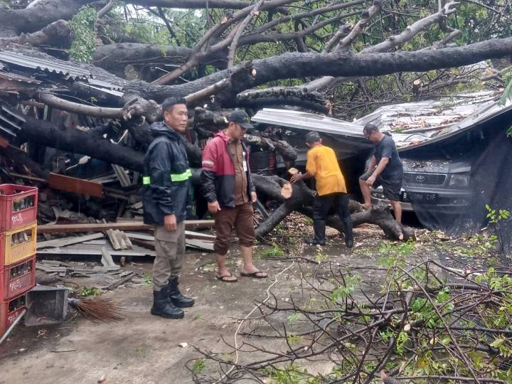 Petugas Gabungan Pemkot Tangerang Tangani Pohon Tumbang dan Genangan di Sejumlah Wilayah