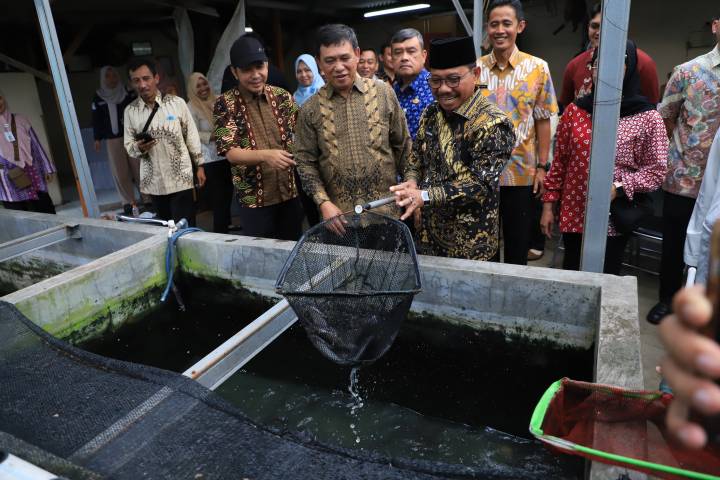 KUTIL Cimone Rayakan 5 Tahun Kemandirian, Hasilkan Setengah Ton Lele Per Siklusnya