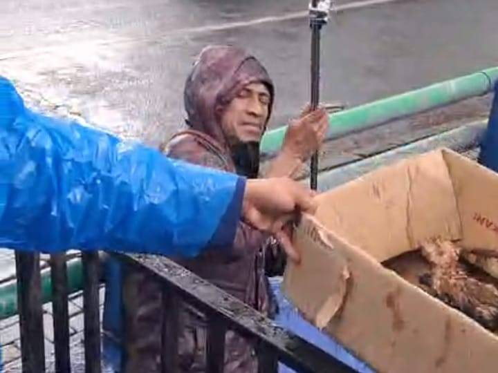 Petugas Damkar Ciledug Kota Tangerang Evakuasi 2 Ekor Anak Kucing di Saluran Air Jalan Pikun