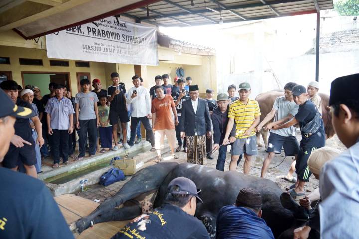 Wali Kota Tangerang Apresiasi Bantuan Sapi Kurban Presiden Prabowo untuk Warga