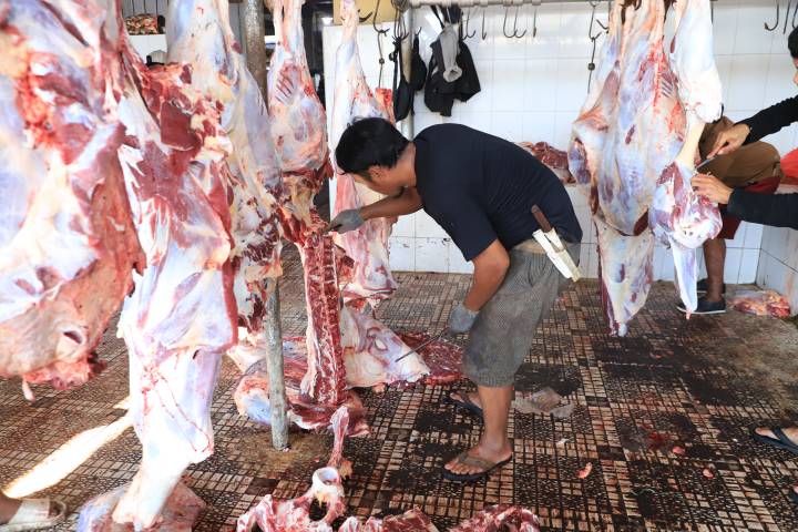 RPH Bayur Kota Tangerang Potong 45 Sapi Kurban di Momen Iduladha 1447 H.