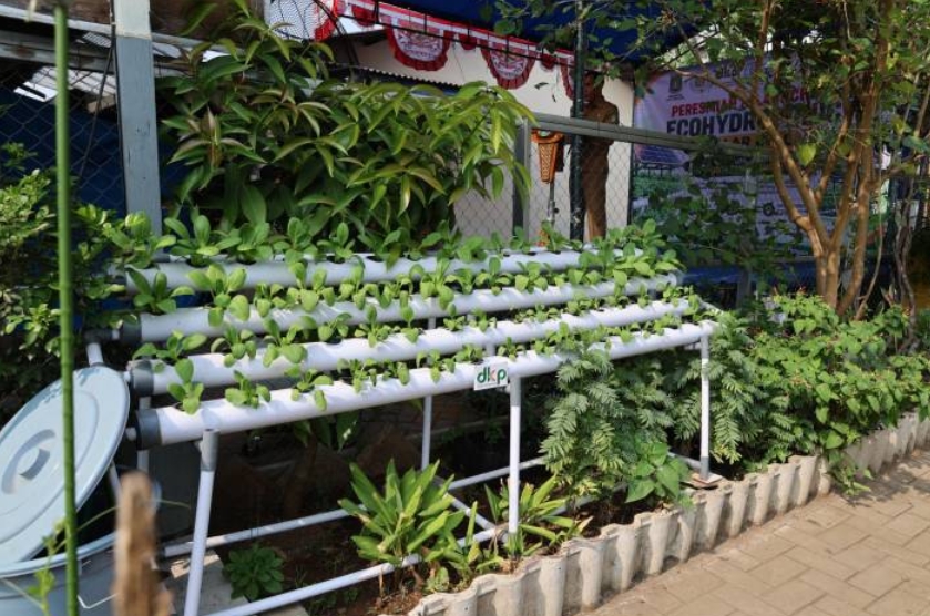 Sasar Peluang Usaha Pertanian Perkotaan, BLK Kota Tangerang Segera Buka Pelatihan Hidroponik