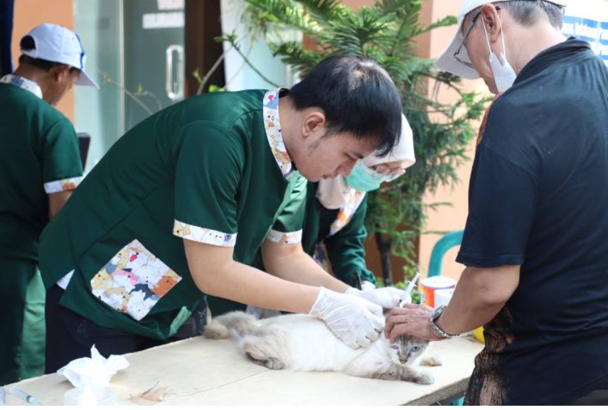 Hari Rabies Sedunia, Kota Tangerang Catat 14 Tahun Tanpa Kasus Rabies pada Hewan